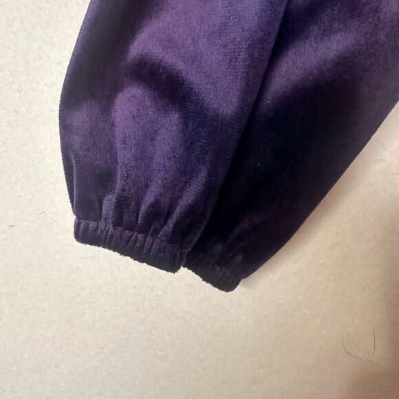 Bloomchic Blouse Top Shirt Velvet Purple Sz 14/16 dragonfly buttons‎ long sleeve - Picture 3 of 8